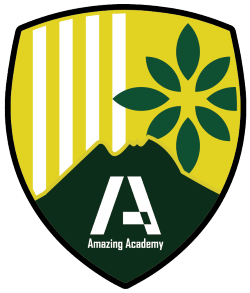 アメージングアカデミー